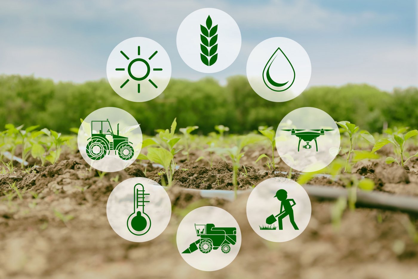 img-magazin-2019-smart-farming-teil-1-4-0web-1400